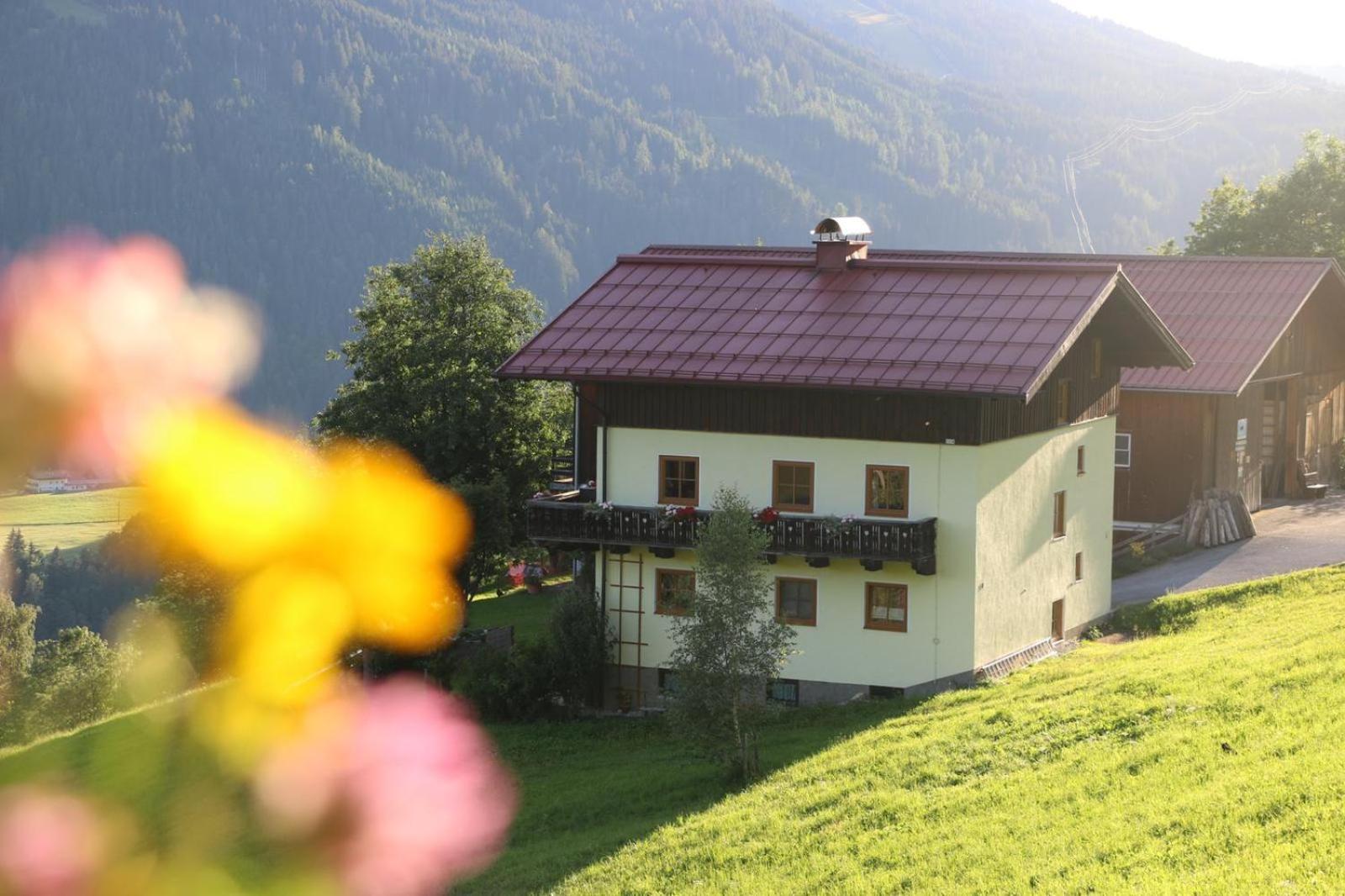 Molteraugut Apartment Muhlbach Am Hochkonig Bagian luar foto
