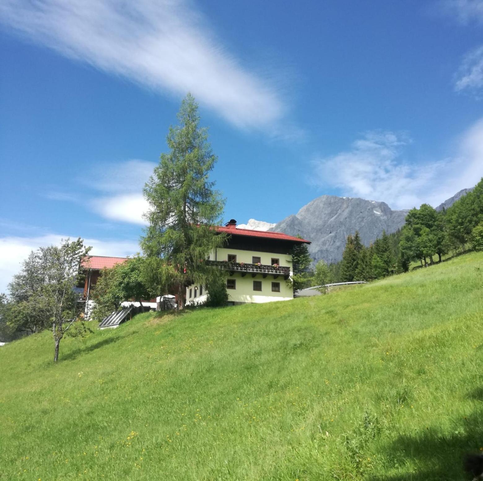 Molteraugut Apartment Muhlbach Am Hochkonig Bagian luar foto